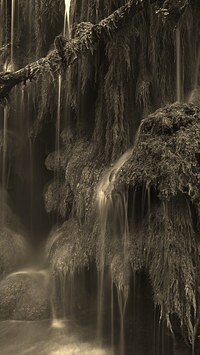 Szary + Sepia