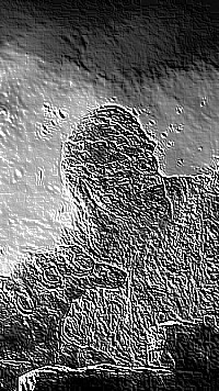 Skamielina