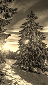 Szary + Sepia