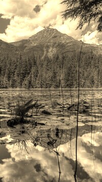 Sepia