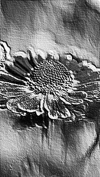 Skamielina