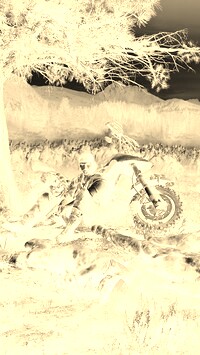 Sepia + Negatyw