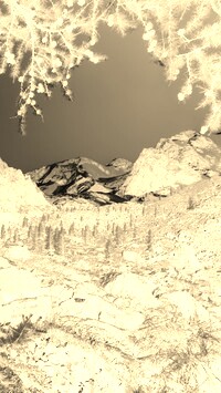 Sepia + Negatyw