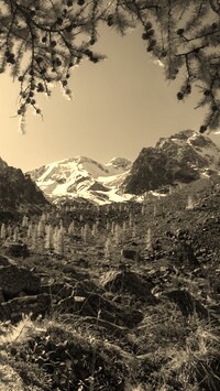 Szary + Sepia