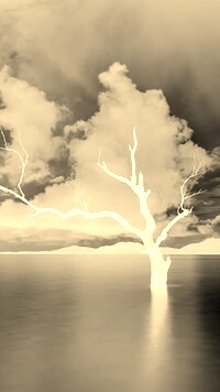 Sepia + Negatyw