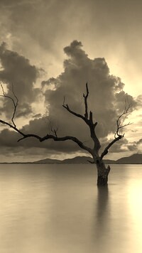 Szary + Sepia