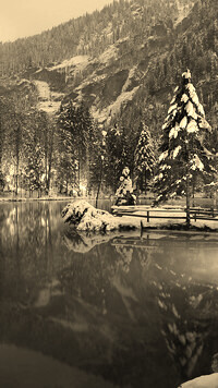 Szary + Sepia