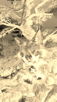 Sepia + Negatyw