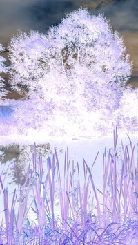 Negatyw