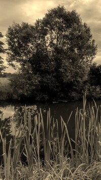 Szary + Sepia