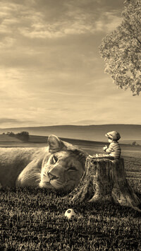 Szary + Sepia