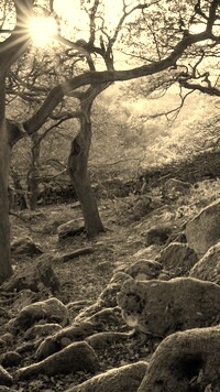 Sepia