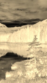 Sepia + Negatyw