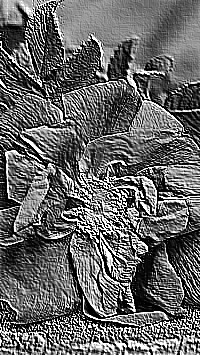 Skamielina