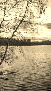 Sepia