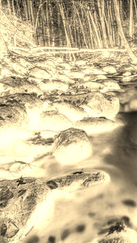 Sepia + Negatyw