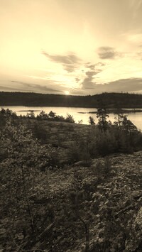 Szary + Sepia