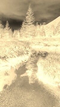 Sepia + Negatyw