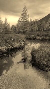 Szary + Sepia