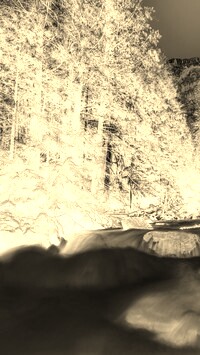 Sepia + Negatyw
