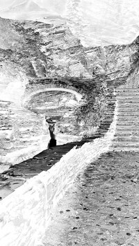 Szary + Negatyw