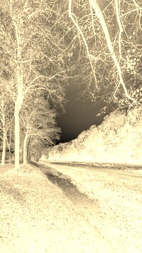 Sepia + Negatyw