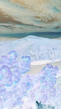 Negatyw