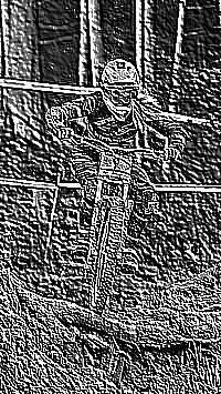 Skamielina