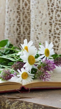 Oryginalny obrazek