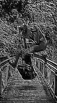 Skamielina