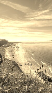 Szary + Sepia