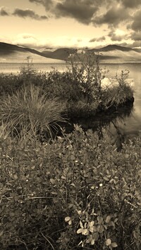 Szary + Sepia