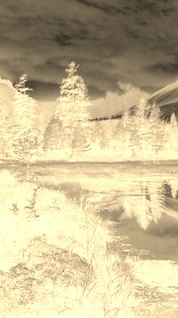 Sepia + Negatyw