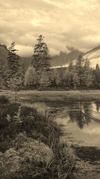 Szary + Sepia