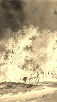 Sepia + Negatyw