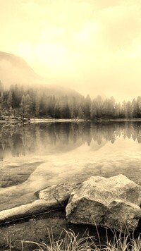 Szary + Sepia
