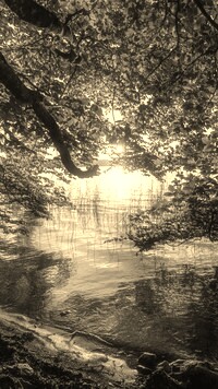 Sepia