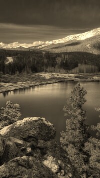 Sepia