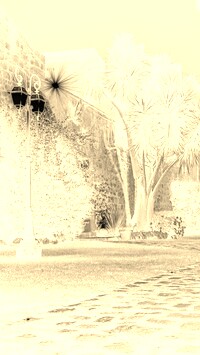 Sepia + Negatyw