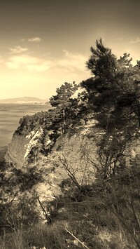 Szary + Sepia