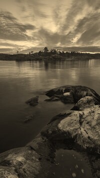 Szary + Sepia