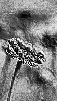 Skamielina
