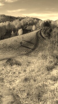 Szary + Sepia