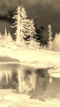 Sepia + Negatyw