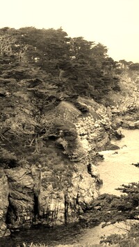 Szary + Sepia