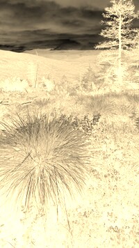 Sepia + Negatyw