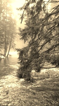 Szary + Sepia