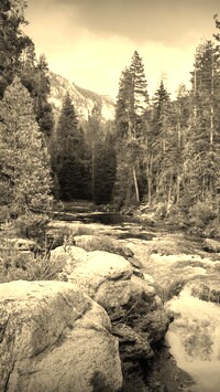Szary + Sepia