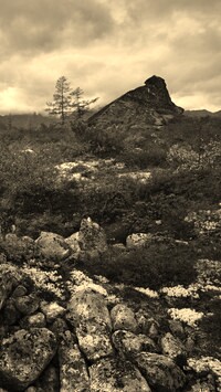 Szary + Sepia