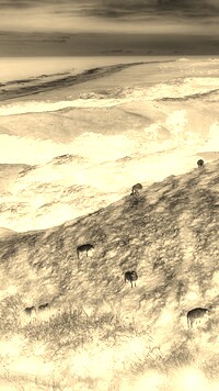 Sepia + Negatyw